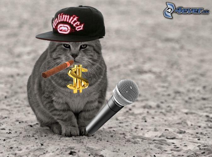 “Кот рэпер 
kat rap” .