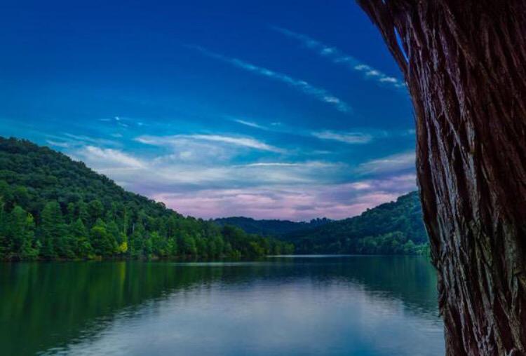Prestonsburg, Ky tweet media