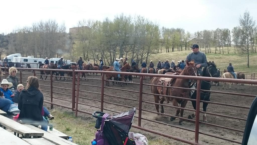 KL_Butterfield's tweet photo. Awesome turnout for the Hoover Hays Memorial Steer Wrestling jackpot at the Milan ranch. That's a lot of doggers! http://t.co/qnnqT7QYV9
