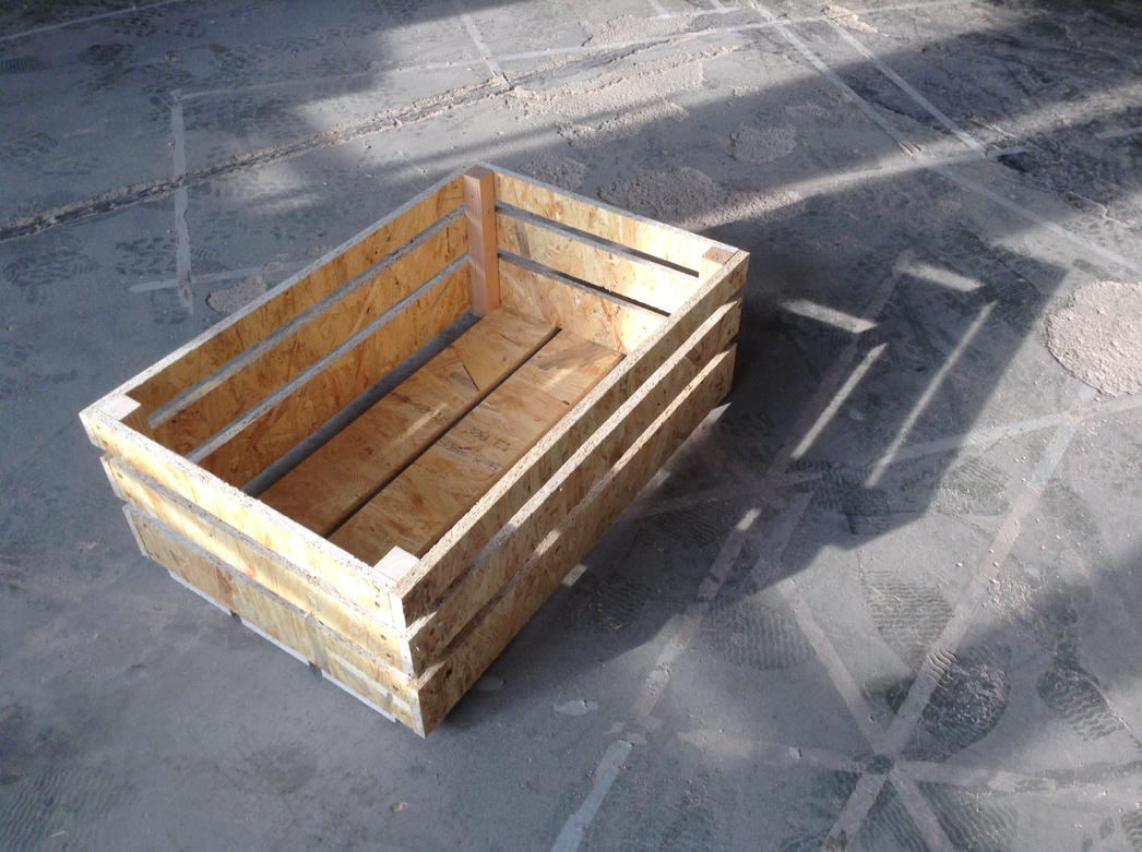 Dusty meets Muddy! A first prototype of the wooden veg boxes for Groovy Vegetables.