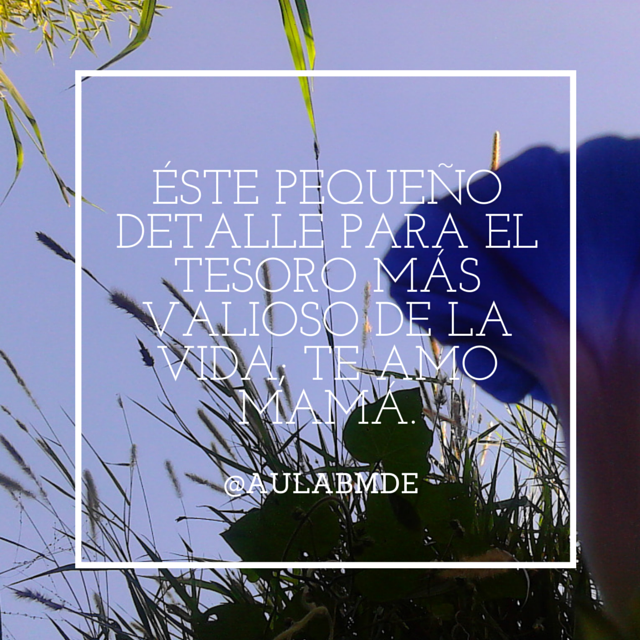 aulabmde's tweet photo. Eres el ser que me llena de alegría cada día, y que pese a lo que suceda siempre me entenderás y apoyarás. #mamá. http://t.co/3fXMmymb20