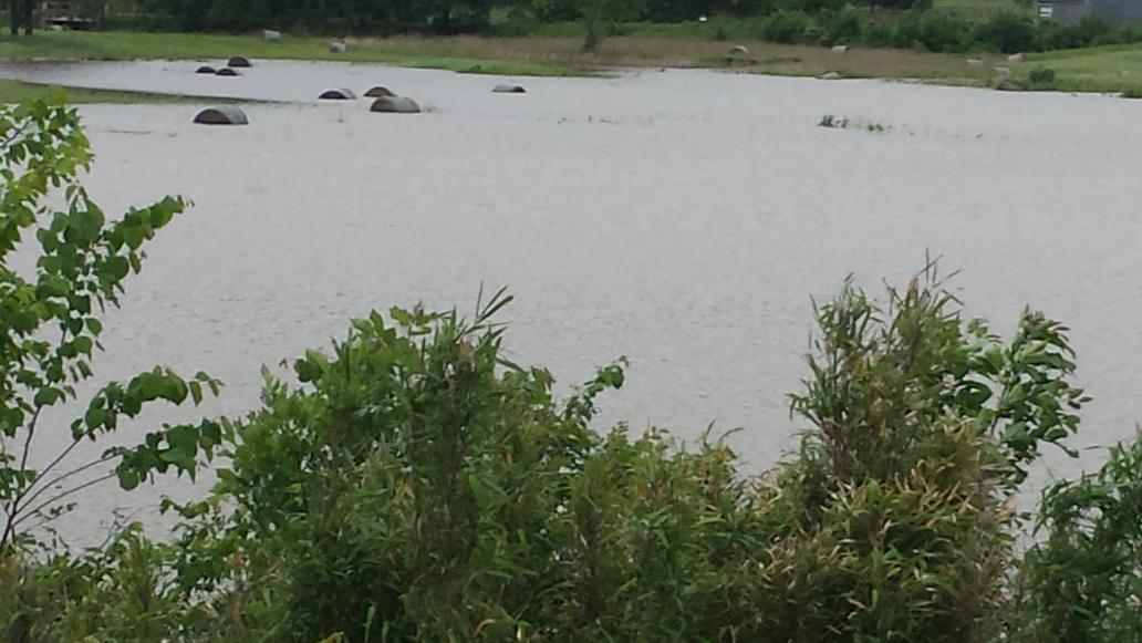 This is not a lake... it's a hay field and those are full sized round bales! 10+ inches of rain since Friday