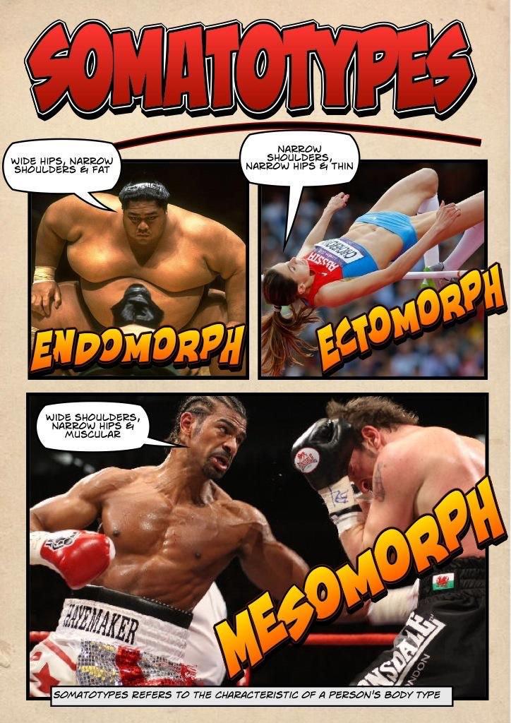 BoswellsPE's tweet image. GCSE PE: #gcseperevision #1.2.1 #somatotype