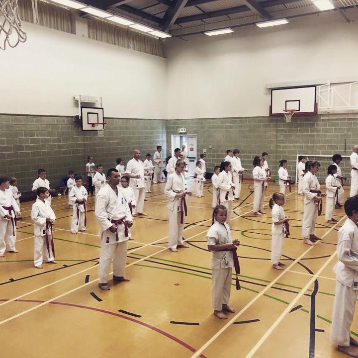 WealdKJK's tweet photo. Well done to all that graded today, spirits were high keep it up OSSU
#wealdkaratejutsukai #karatejutsukai http://t.co/XmRTa2R1tW