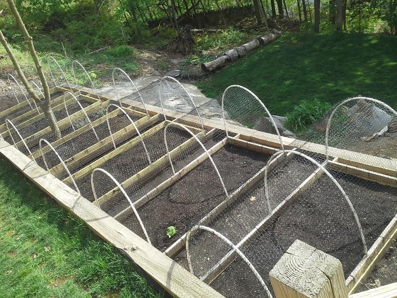 Sean Hastings on Twitter: "Recent project: raised bed vegetable garden