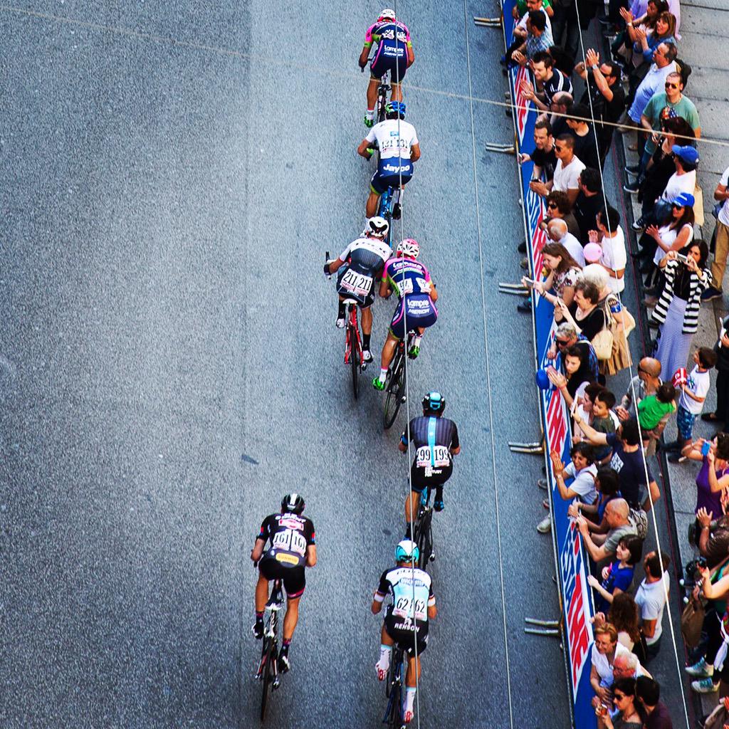 stefania curto tweet media