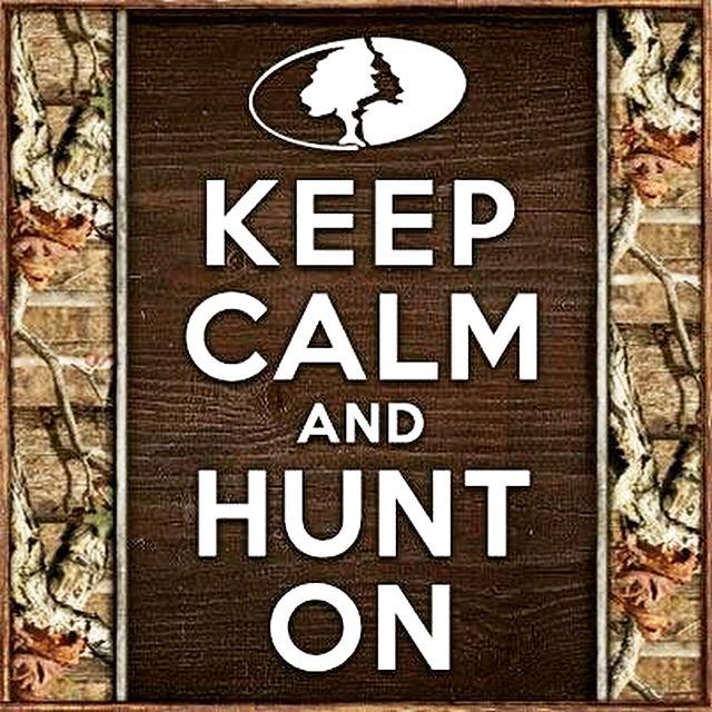 It's a daily motto for us here at Vital Obsession TV!