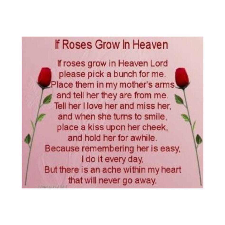 taymiIes's tweet photo. Happy Mother's Day to you. You deserve it.. #restpeacfully ๐นโ๏ธ http://t.co/dqdzxXpYAS