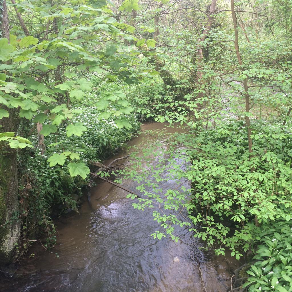 arlanformoelfre's tweet photo. Exploring new places yesterday - Afon Lleiniog near #Beaumaris #secretplaces #anglesey #Anglesey http://t.co/6bTOtiQAqi