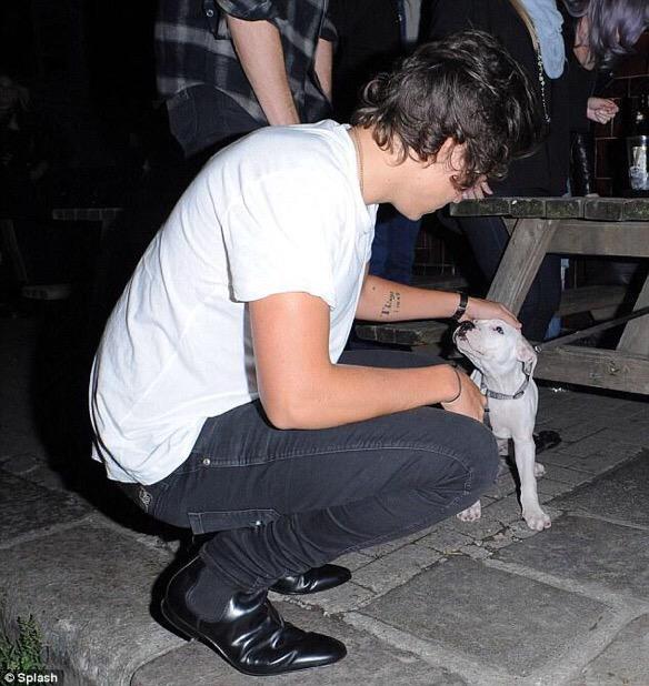 WeAreTrue1D's tweet photo. The way he treats this world is so important!

 https://t.co/fI7wibuVnc