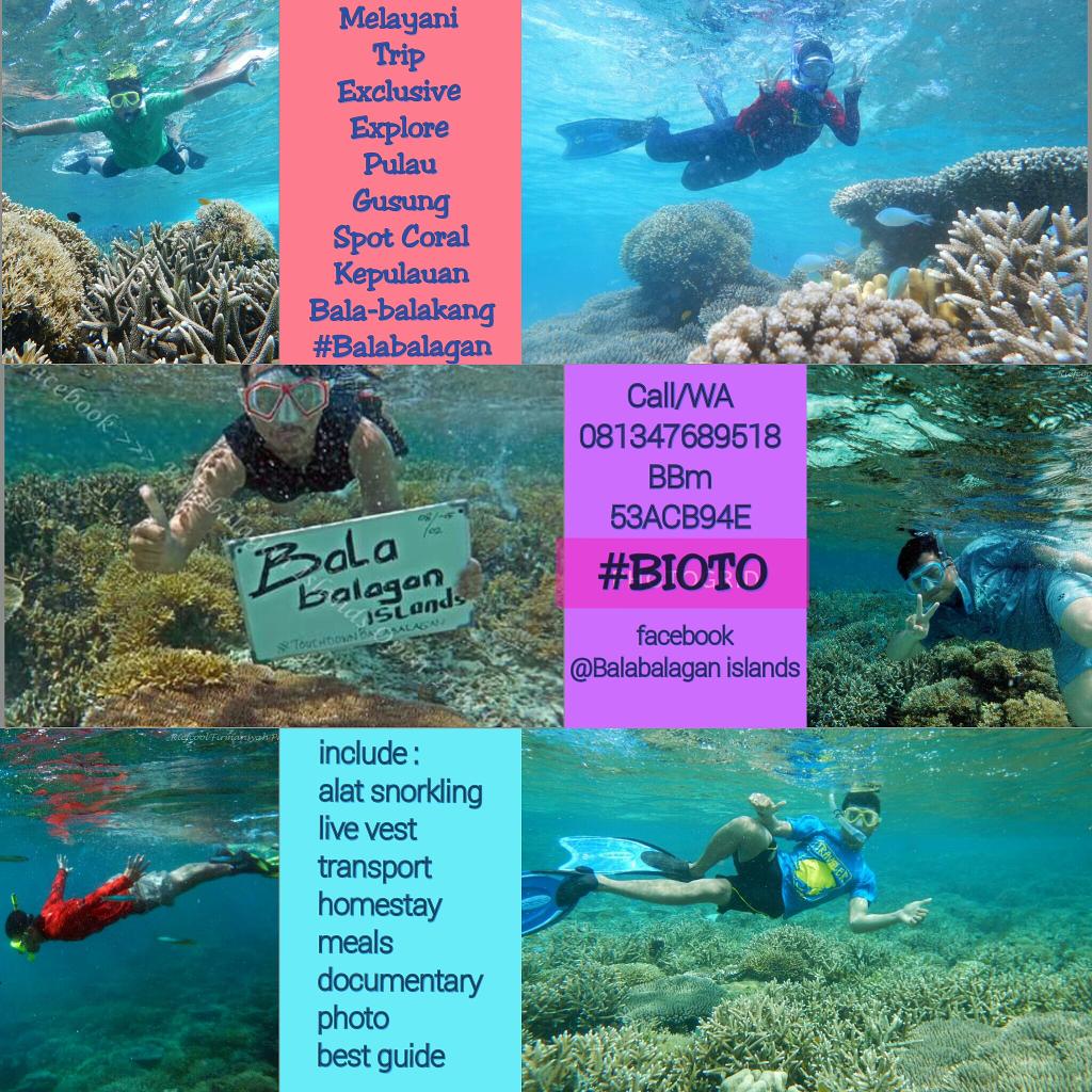 noru_chan's tweet photo. best way to get great Holiday in Balabalagan islands #BIOTO #ExclussiveTrip #ExperiencesGuides #limitedSeat lets go! http://t.co/L743sJ9Vut