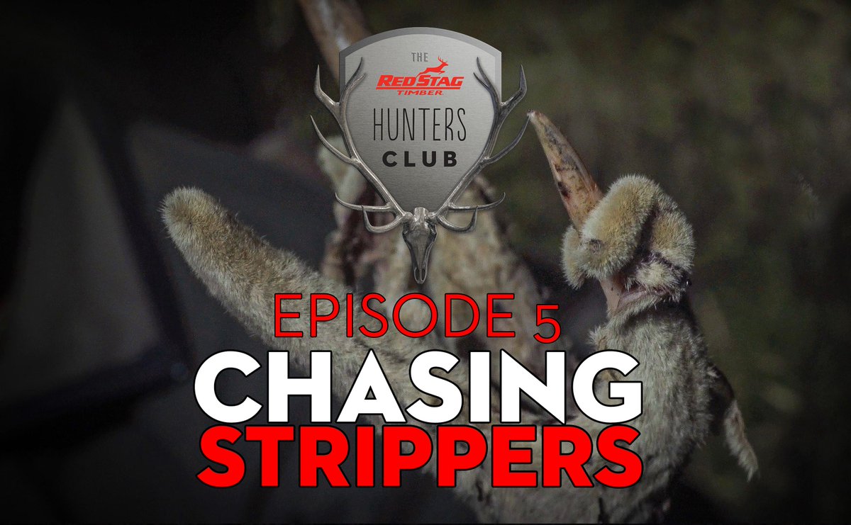 RSTHuntersClub's tweet photo. @skysportnz Cheers team! It was certainly one of the hardest hunts of the year, but probably our most rewarding too http://t.co/1P5bvM5xZQ