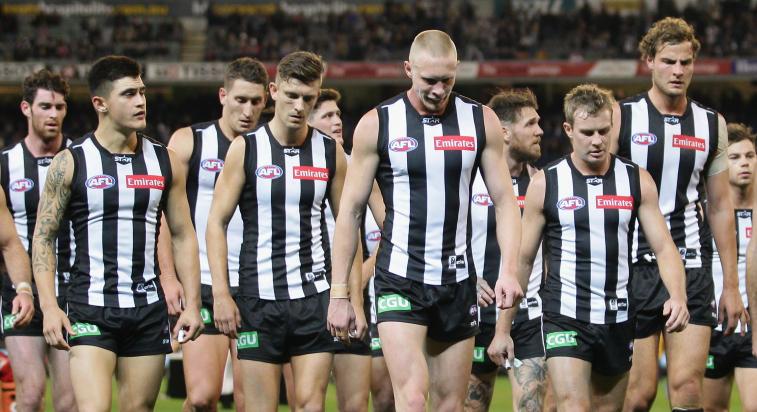 NoGrey_Area's tweet photo. Young Pies Showing Plenty - http://t.co/LZl1l3S22R #gopies @collingwoodfc http://t.co/8J6tIJvdWO