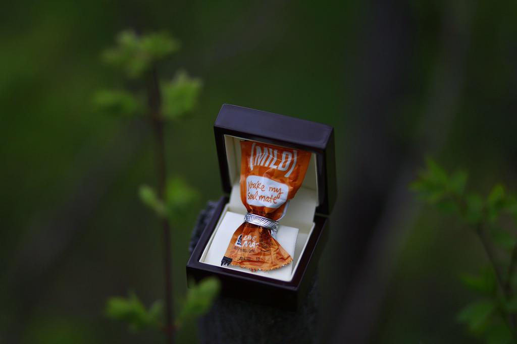 TANNERSTHENAME's tweet image. there is a new bell ringing at @tacobell! let me know if you want an invite💜 thank you @bro_radness for the photos!