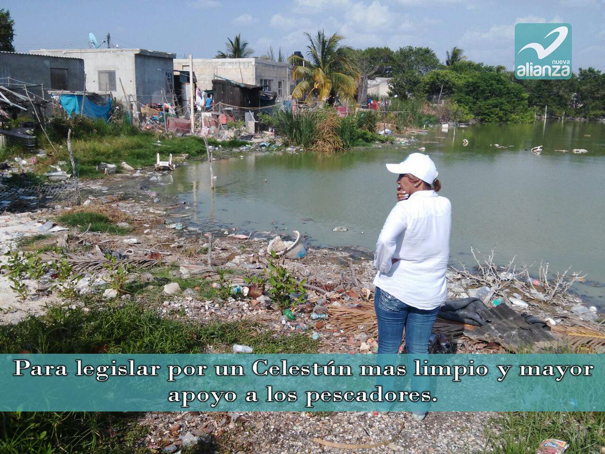 ¿Esto es lo que queremos para nosotros? ¿Donde están nuestras autoridades? #Celestun abandonado. <a href="/NuevaAlianza/">Nueva Alianza Tepeapulco Oficial</a>