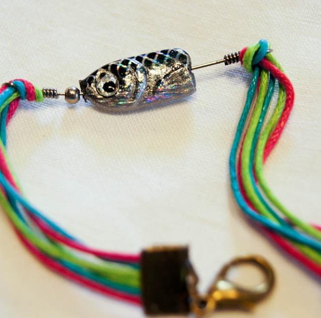 The Tackle Box tweet media