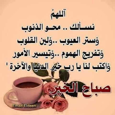 مفسر احلام/راقي شرعي (@9009mamdoh) on Twitter photo 