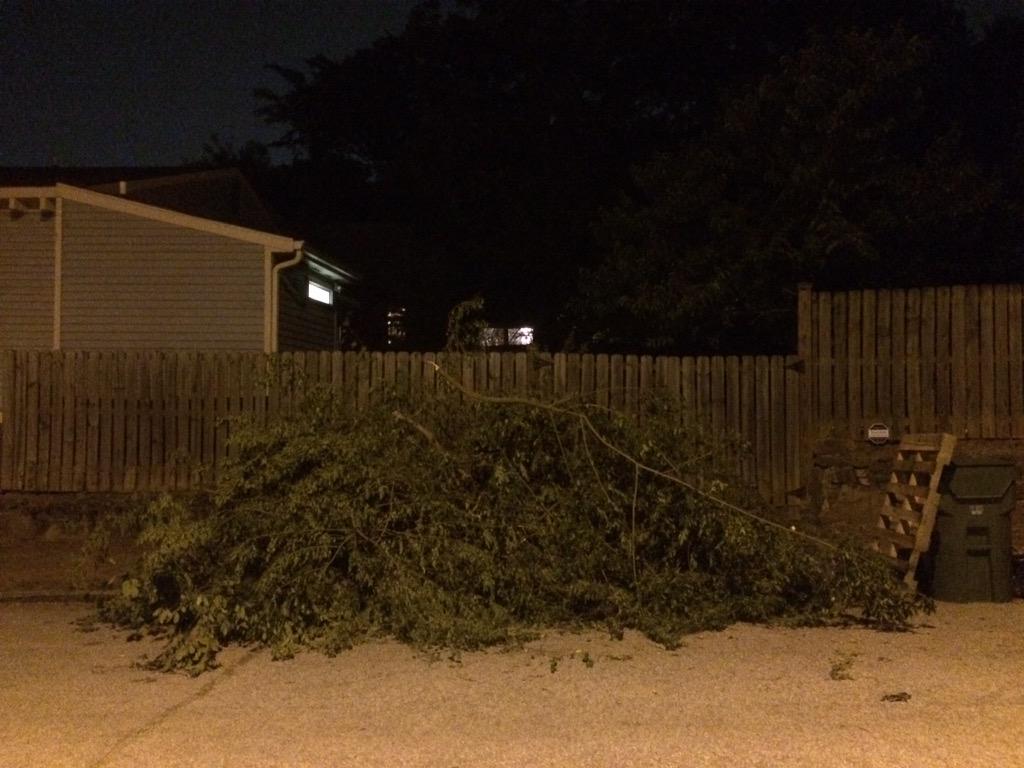 JarrettBellini's tweet image. Worst. Sukkah. Ever. #YardDay