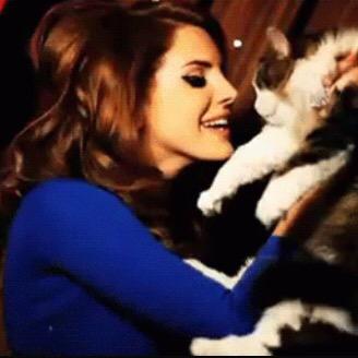 kurtaslana's tweet photo. "I prefer cats, they do not ask all the attention" http://t.co/SfxmhCGTKe