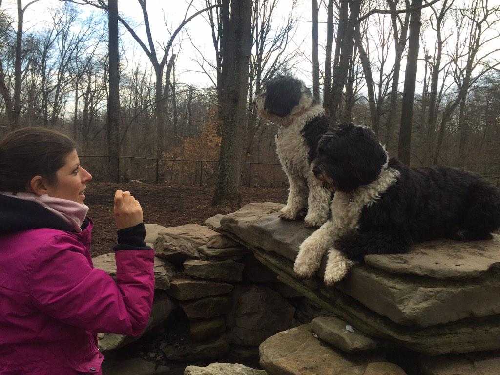 Belles_Rosen's tweet photo. Happy Mothers Day @lrosen23! You're the best mother a #portuguesewaterdog could have in the whole world! I love you! http://t.co/lXKnecjjhs