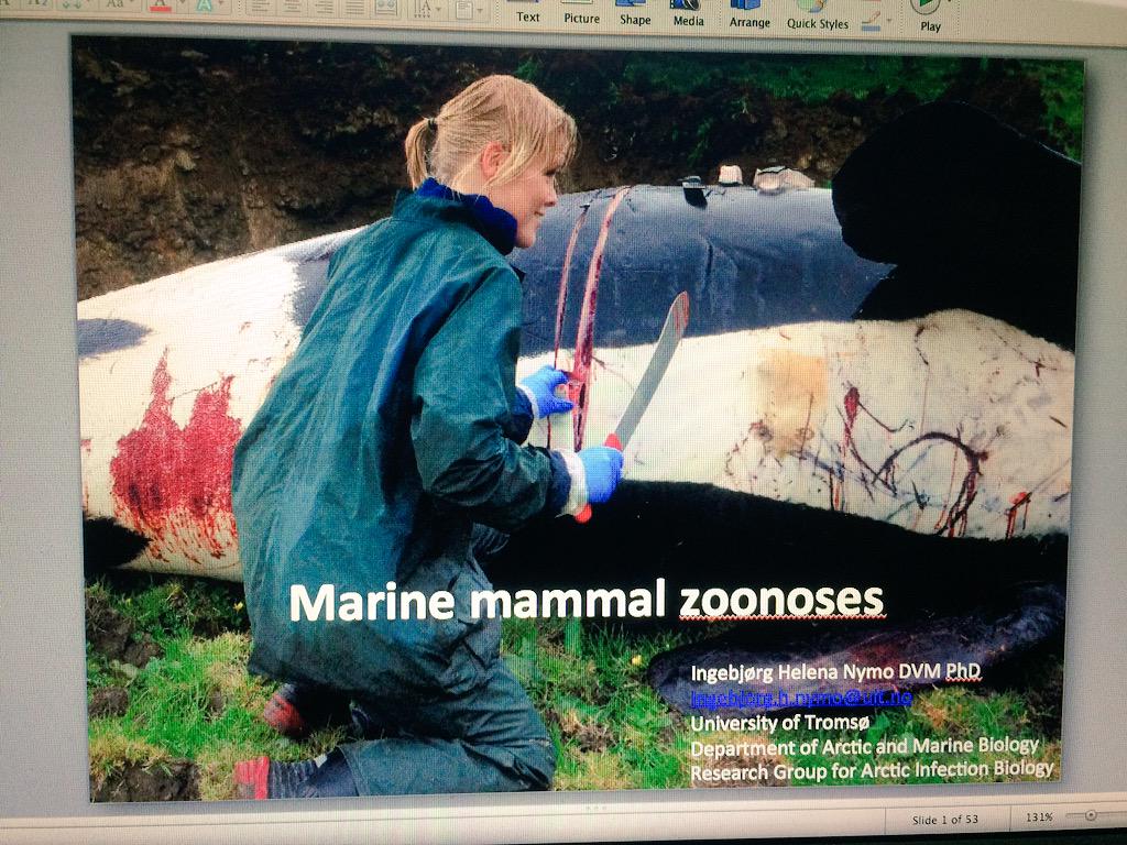 Ingebjørg H. Nymo tweet media