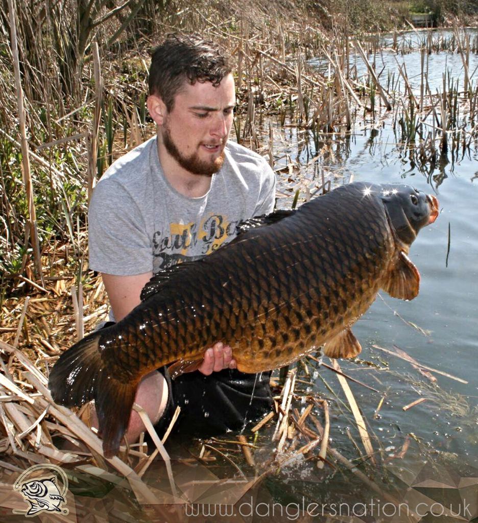 DanglersNation's tweet photo. And the #WINNER is ... Andrew Hargreaves with this stunning #LongCommon #CatchoftheMonth #danglersnation @urban_bait http://t.co/fBjkPVPW8p