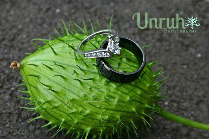 UnruhPhotos's tweet photo. http://t.co/797bY38WvN