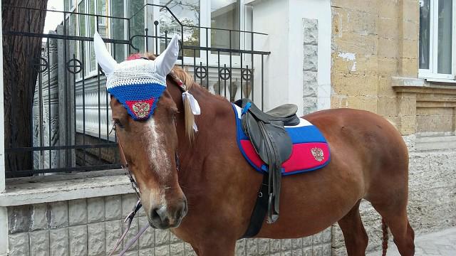 ВР сделала шаг к легализации иностранных добровольцев, воюющих за Украину - Цензор.НЕТ 1267