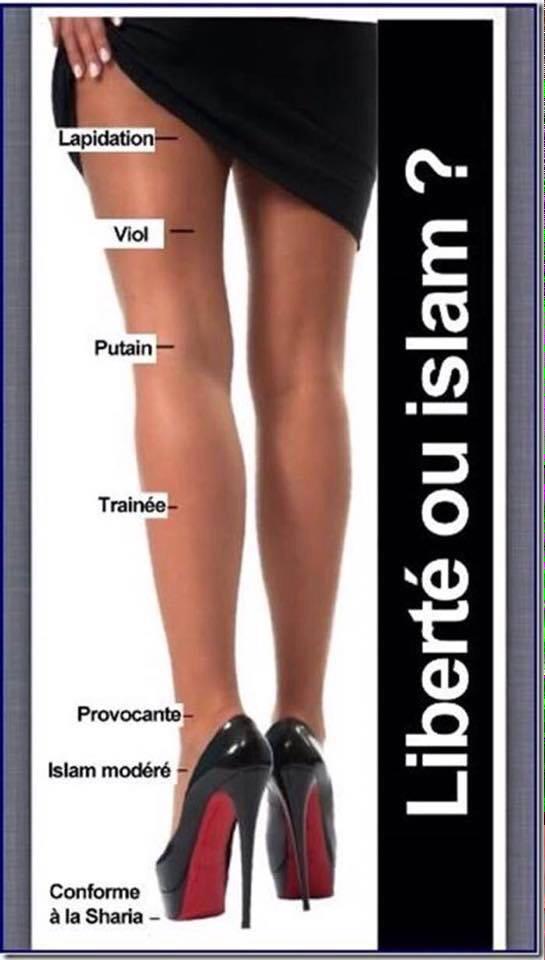 fandebleu's tweet image. De "conforme à la #charia jusqu'à la #lapidation