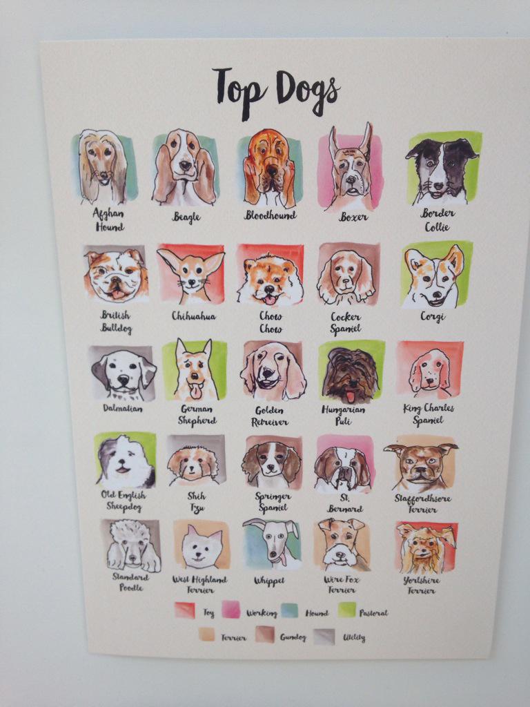 _DoodlingAround's tweet image. Good morning #Pulse2015 come &amp;amp; visit me &amp;amp; my wares! Original illustrations gifts &amp;amp; homeware Launchpad C21