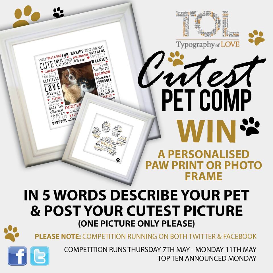 claireabellavip's tweet photo. @manchdogs WIN A TOL frame for your fury friend at @TypoOfLove
TOP 10 announced at 4pm today - Use #TOLPETS to enter http://t.co/VYMg9o27HW
