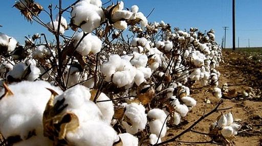 Finances.gov.bf tweet media