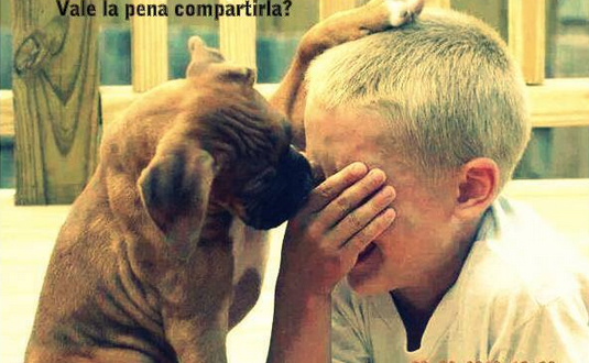 Animalesmsjs tweet picture