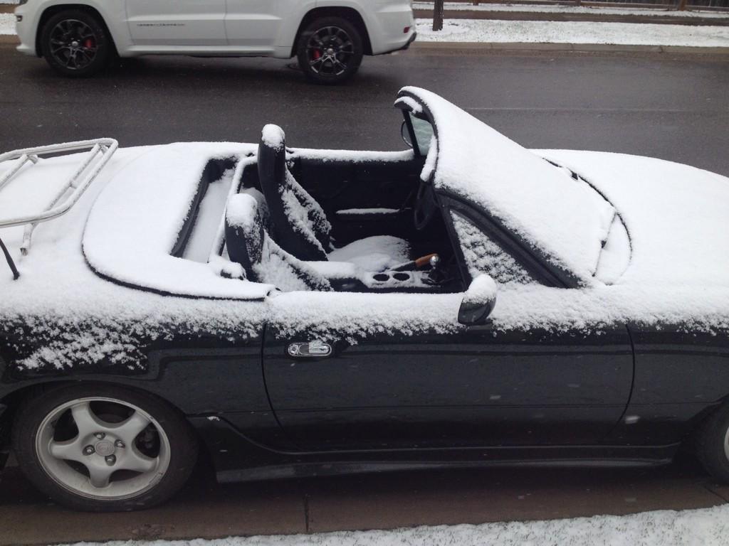 SJDRober's tweet photo. This. #springtimeincalgary #yyc http://t.co/V2GYlrCqZl