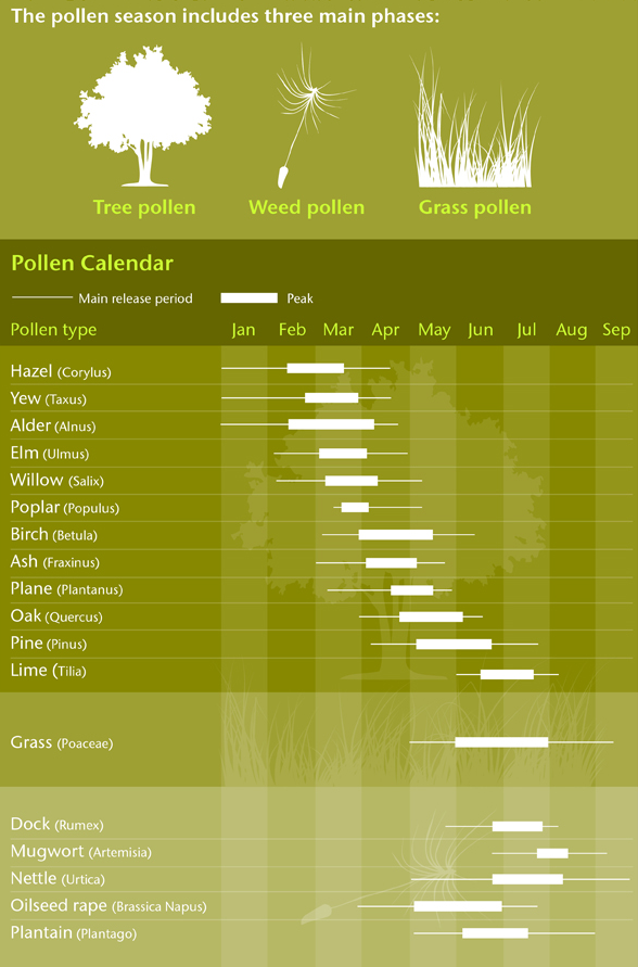 Hay Fever Season Chart