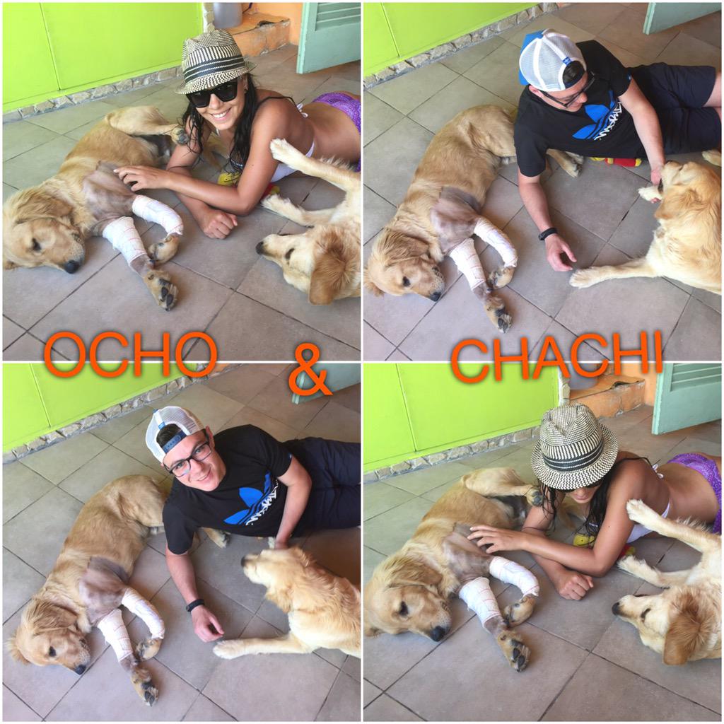 MartaWw's tweet photo. #FelicidadPerruna #CanTaladro @tocinocarlos http://t.co/VFx76Omv4D