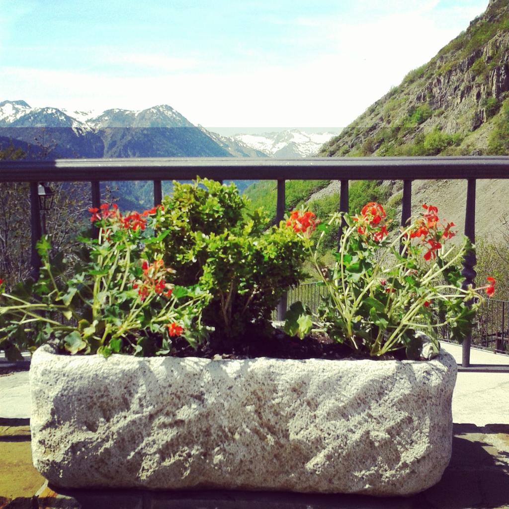 HotelSeixes's tweet photo. #geranis i #geranios #plantats i #plantados #regats i #regados #bagergue i #bagergue #nautaran http://t.co/TBZ3TI5h2a