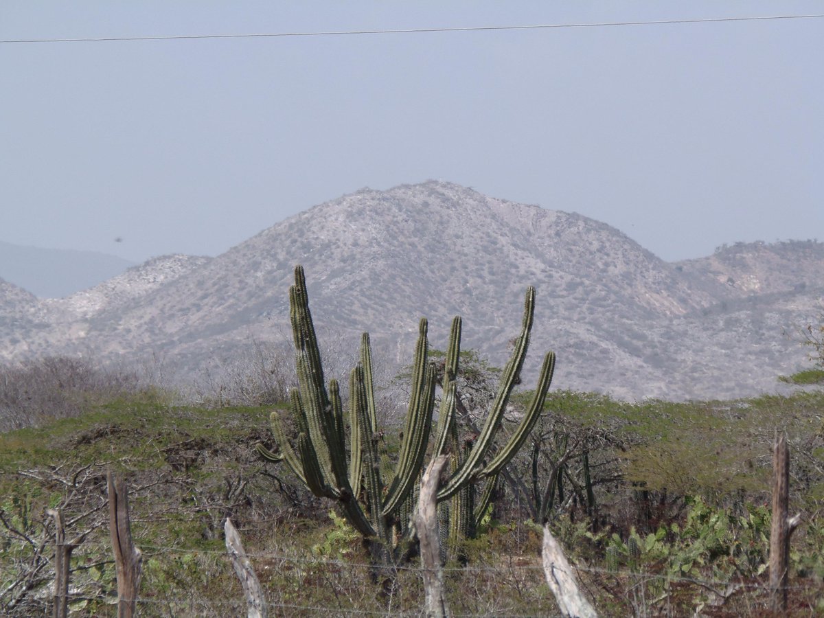 PNCerroSaroche's tweet image. Buenos días #Venezuela, Les deseamos que tengas un maravilloso #Lunespositivo para seguir #Conservando nuestras sp.