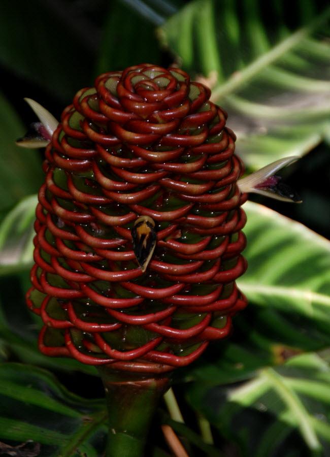 How to choose the best plants for your garden worldofdesigners.com/?p=5552 #gardening #plants #DIY