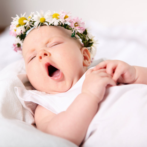 LocalGlamour's tweet image. 15 Powerful Flower Names for Girls mf.tt/3Bwvx