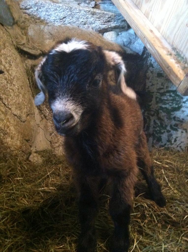 Success is liking yourself. Liking what you do and liking how you do it. -Maya Angelou #behappy #smile #Believe