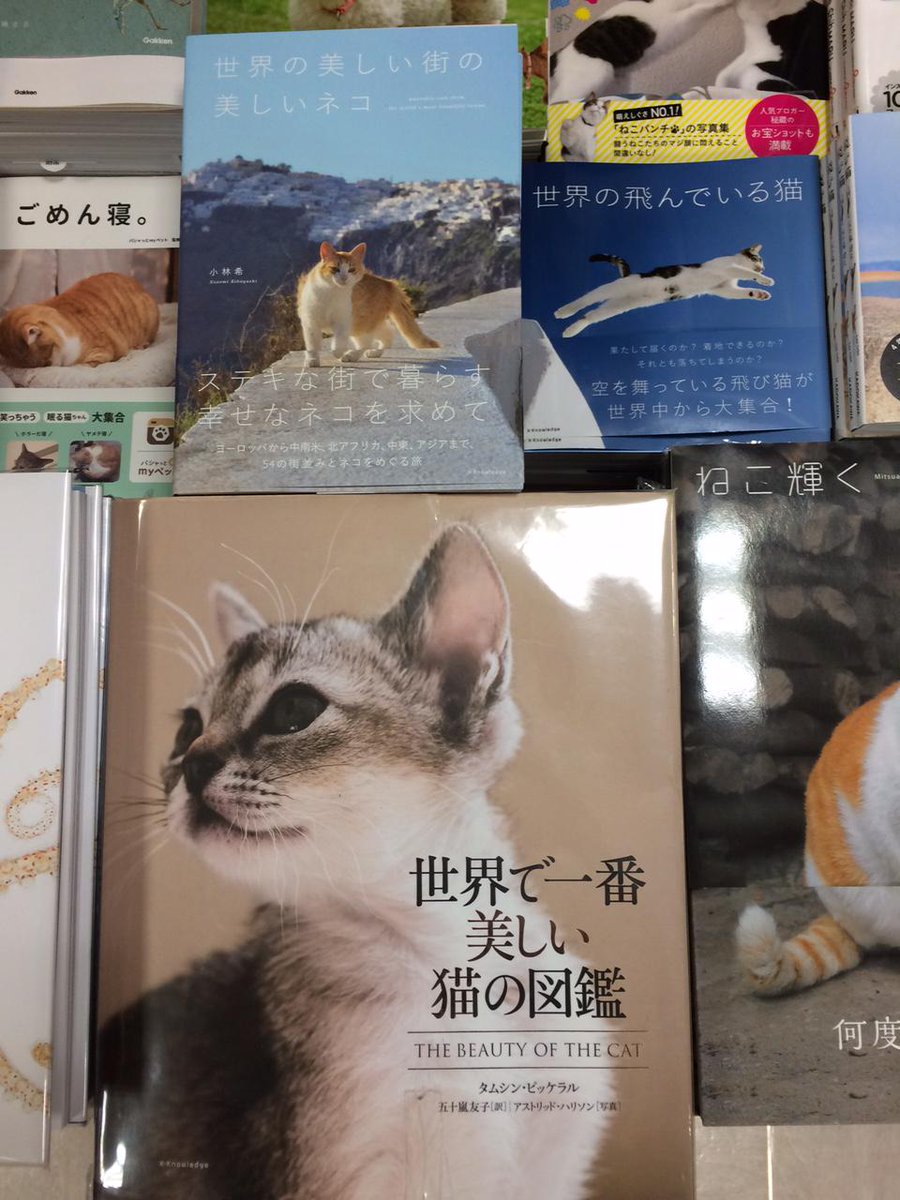 紀伊國屋書店 新宿本店 Twitterissa 7f芸術 エクスナレッジの新刊 世界の美しい街の美しいネコ と大人気の 世界で一番美しい猫 の図鑑 どちらも美しい猫たちにうっとりする写真集です S Http T Co Eqiulobk0k