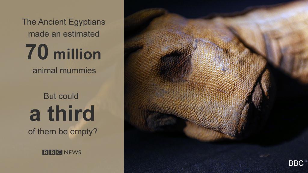 Scientists scanning Egyptian mummies have unearthed an ancient scandal #BBCGoFigure bbc.in/1IwkA1F