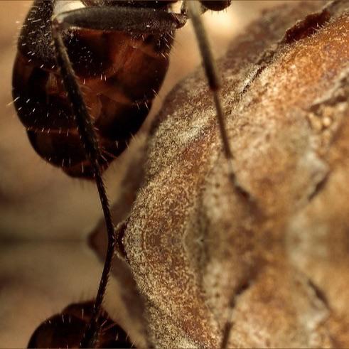 saurabsen's tweet image. Check out this cool episode: itun.es/in/-a2_L.c?i=3…