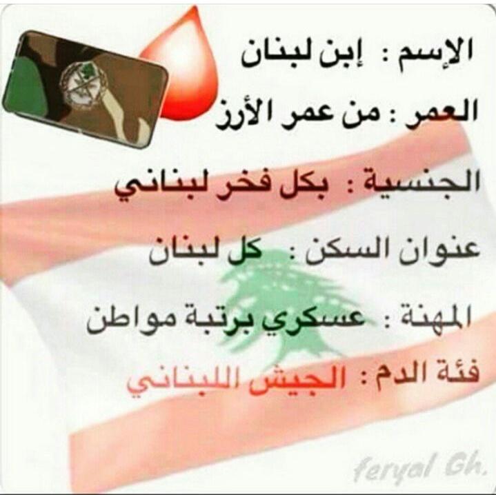 Elie Haber tweet media