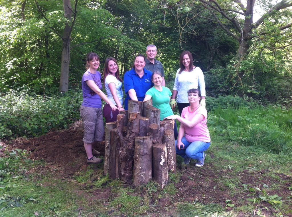 DSH_Accountants's tweet photo. We've finished out first stag beetle pyramid @VintersValley http://t.co/SbUNARX80T