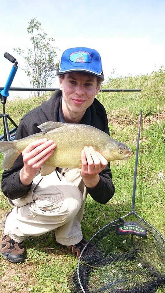 goldfish and bream #fishing