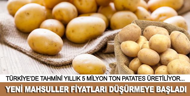 trthaber's tweet photo. Patates fiyatları düşmeye başladı.

Haber Detay: http://t.co/1lmNCJCGCV http://t.co/NNX8ThxLVZ
