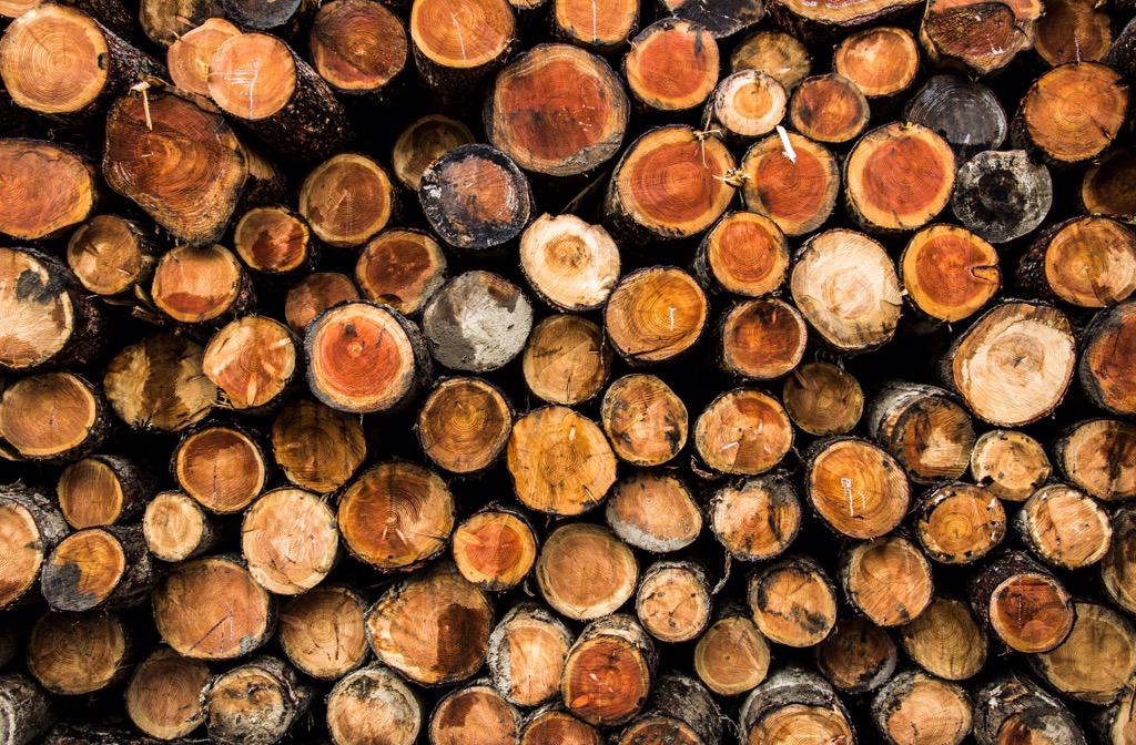 JMP_Pictures's tweet photo. looking at #patterns + #meanings in natural, #socialcommentry @bernabephoto @AP_Magazine @PhotographyWeek @wextweets http://t.co/HQGTktZgiG