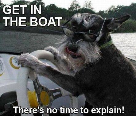 petchrUK's tweet photo. No questions asked! #dangerdog #itsmondaygetmeoutofhere http://t.co/TVJAdVwV9N